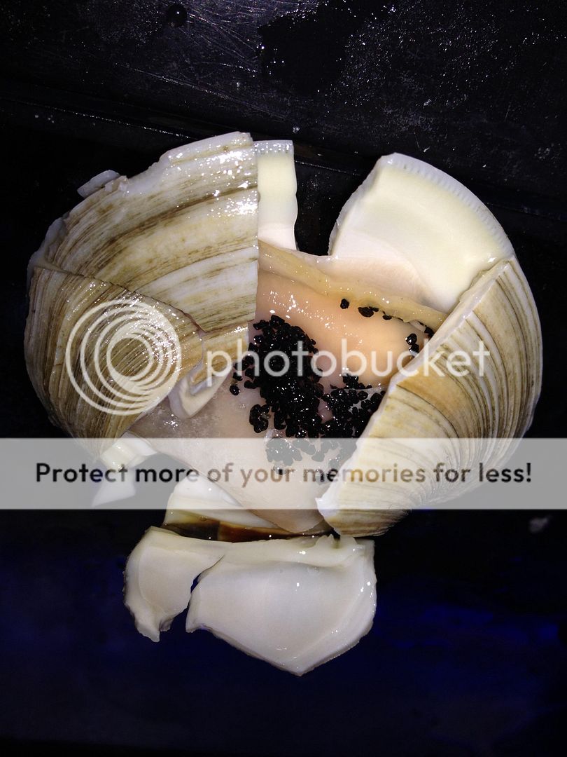 The benefit of feeding clams